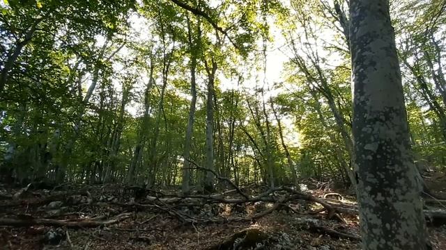 КРЫМ 2020 фильм 2.mp4