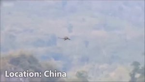 Заснятые на камеру настоящие драконий (оставил только настоящих драконов)