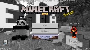 Minecraft Bedrock Windows 10 not loading solution