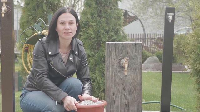 Выбираем траву для газона на даче - хитсад тв