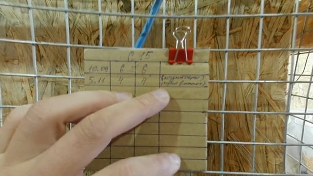 Окролы в  15!!! Тёплый МАТОЧНИК  Теперь с новыми карточками!!! смотреть онлайн