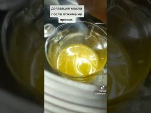 Дегазация масла вакуумным способом. Отжимаем сыродавленное масло на прессе. Доброполе