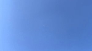 Бакинские голуби чисто белые