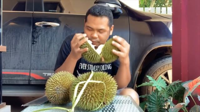 Durian | South Kalimantan | Tanjung, Tabalong | Sindawak Hijau, Durio Hybrid (Zibethinus xs Dulcis) смотреть онлайн