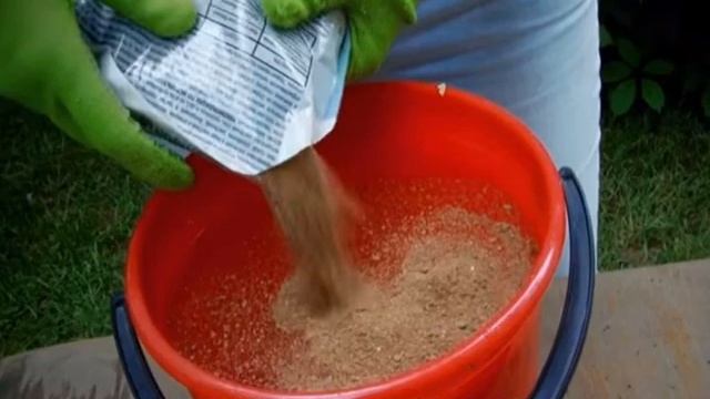 Что делать, если у китайской розы желтеют и опадают листья смотреть онлайн