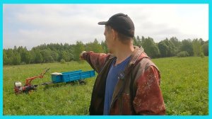 Нашел новый "очаг", вовсю кошу Невой, цыплята, стройка - деревенские будни!