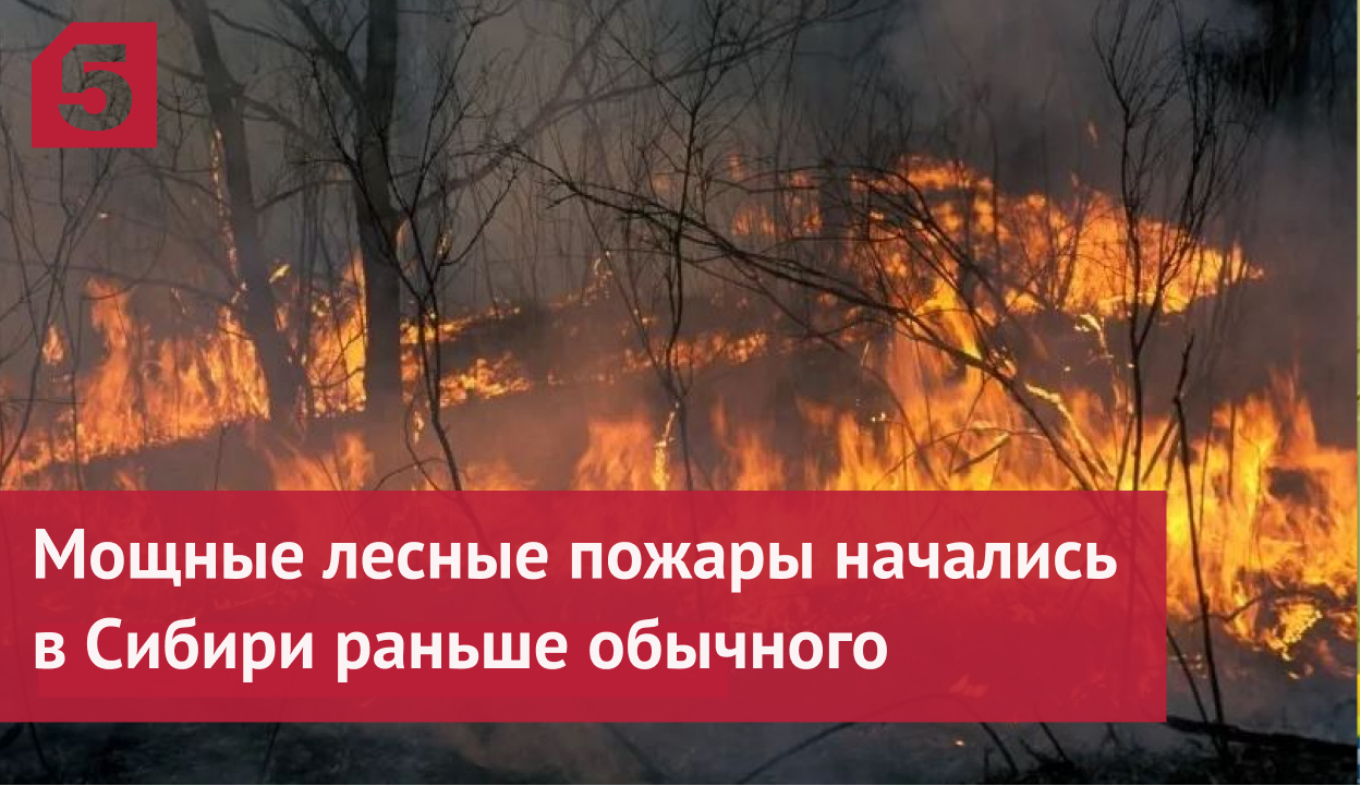 Мощные лесные пожары начались в Сибири раньше обычного