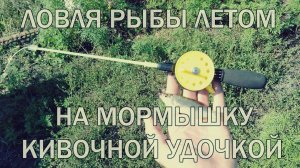 Ловля рыбы на мормышку летом кивочной удочкой