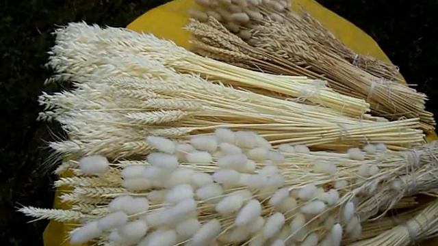 Красим колосья.Получается качественно и не дорого. смотреть онлайн