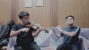 I Finally Found Someone instrumental ( Violin Flute Cover)