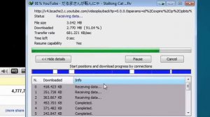 Internet Download Manager  - video presentation