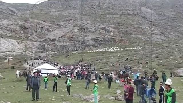 Цветок Айгуль