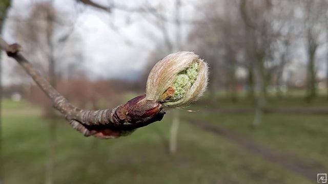 © Апрель. 15.04.2024 смотреть онлайн