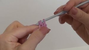 Двойной набор петель крючком