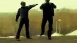 Апельсин каччисем