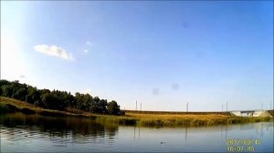 охота на лысуху 10 09 2017г