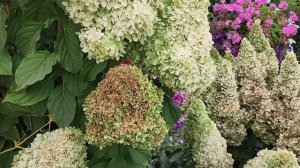 Ответы на некоторыее вопросы