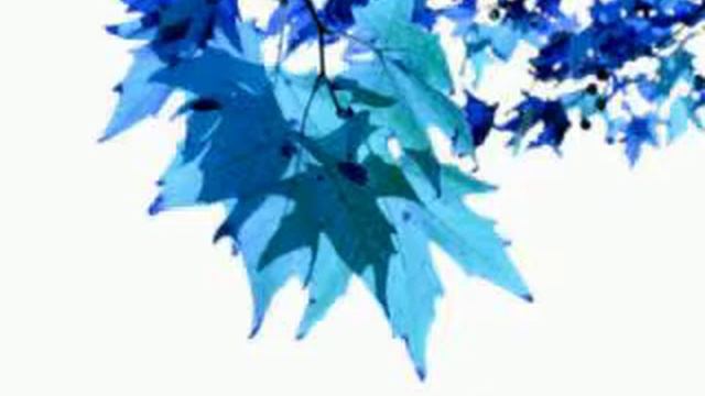 Keti Faresashvili & Zuka - Samba смотреть онлайн