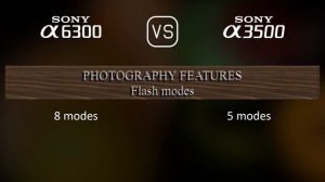 Sony A6300 vs. Sony A3500: A Comparison of Specifications