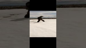 Большой Хоптон Баунт