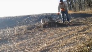 Спасение животных. Люди спасают животных попавших в беду