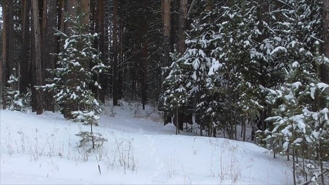 На снятие напряжения от стресса