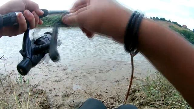 видео из архива