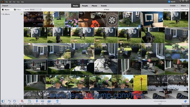 Photoshop Elements 2020 Tutorial Creating and Using Albums Adobe Training смотреть онлайн