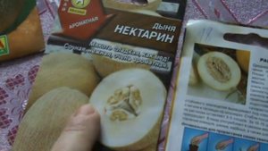 Сорта дынь и арбузов на 2017
