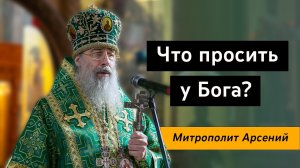 Проповедь митр. Арсения в день памяти прпп. Онуфрия Великого и Петра Афонского 25.06.2022 г.