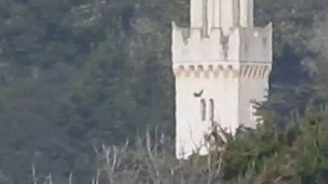 Canon SX30is-zoom смотреть онлайн