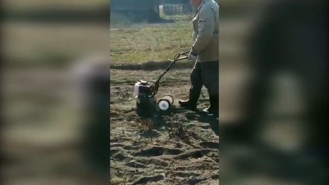 Миникультиватор - незаменимый помощник в огороде