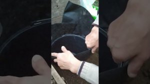 мини погреб в теплице для георгин