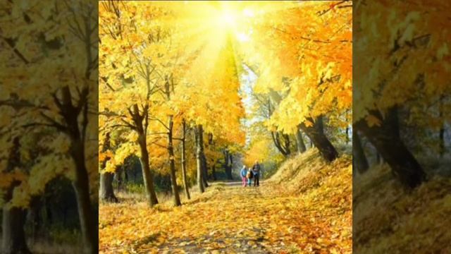 Падают листья *ШАМИЛЬ ГАРДАНОВ * смотреть онлайн