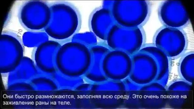 Стволовые клетки. Luminesce. Натан Ньюман рус смотреть онлайн