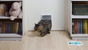 Дверь для кошки и собаки большого размера с магнитным фиксатором. Удобный лаз для кошки в двери.