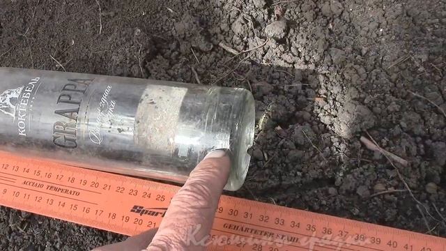 РЕЗУЛЬТАТ ЗИМОВКИ ОЗИМЫХ КУЛЬТУР ПОД МУЛЬЧЕЙ смотреть онлайн