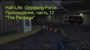 Half-Life: Opposing Force, Прохождение, часть 12 - "The Package"