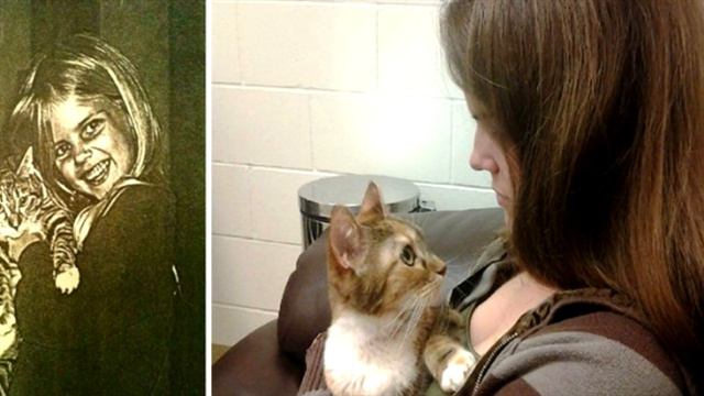 Умирающий кот держал своих владельцев за руку, когда его везли усыплять! смотреть онлайн