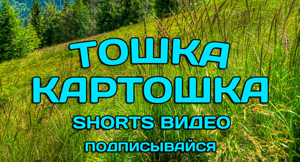 МИ МИЛАШКА ?