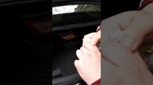 Заміна лампочки стопа в акорді 8