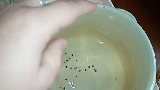 БЫСТРАЯ МАРИНОВАННАЯ СЕЛЕДКА "Пальчики оближешь" с яблочным уксусом смотреть онлайн