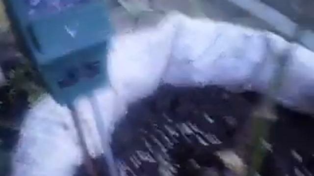 как вырастить ранние огурцы.