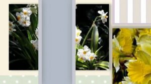 Поздравления с днем рождения золовке