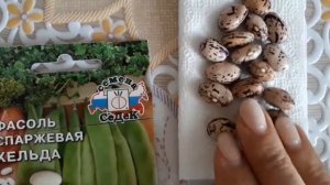 Вьющаяся фасоль