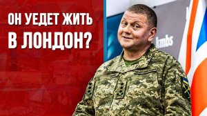 Он уедет жить в Лондон? [Дмитрий Фатигаров. СТРИМ]