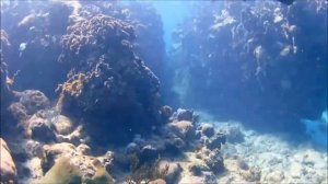 Куба Варадеро Дайвинг