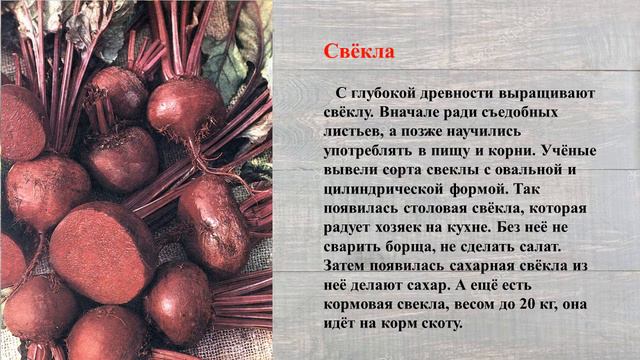 Легумия волшебная страна