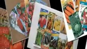 где купить хорошие семена овощей