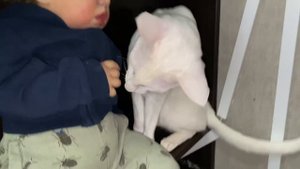 Вечер с 2 реборнами Лиамом и Грейсоном Вечер с Лиамом после школы evening with reborn baby Liam